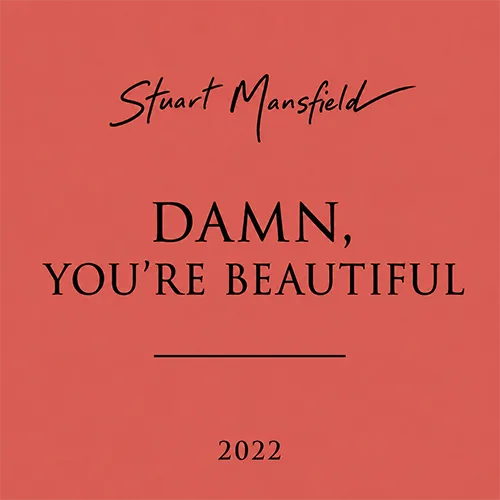 Damn, You're Beautiful by Stuart Mansfield – preview cover artwork